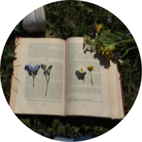 author-avatar
